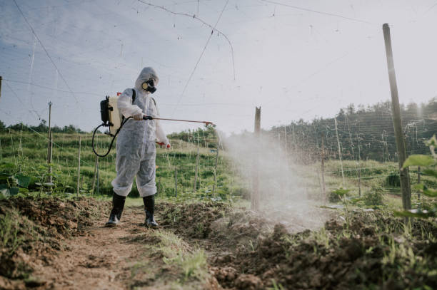 Best Mosquito Control Services  in Abingdon, IL