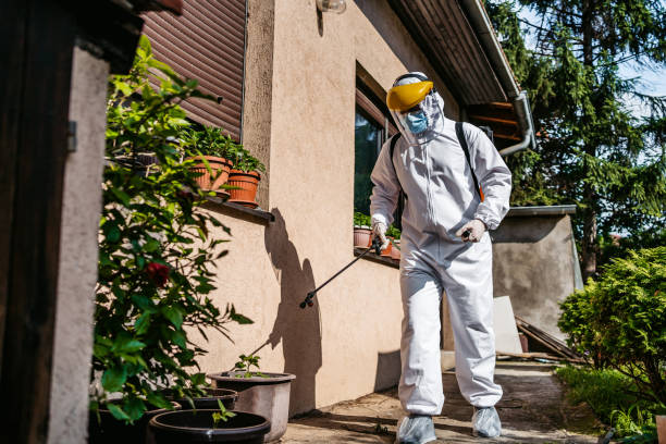 Best Mosquito Control Services  in Abingdon, IL