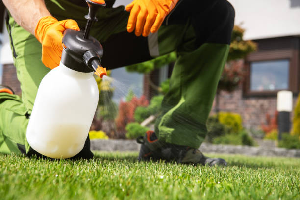 Best Commercial Pest Control Services  in Abingdon, IL