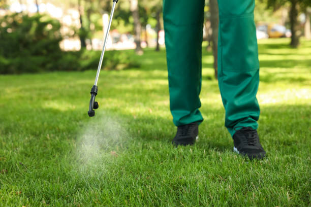 Best Wildlife Control Services  in Abingdon, IL