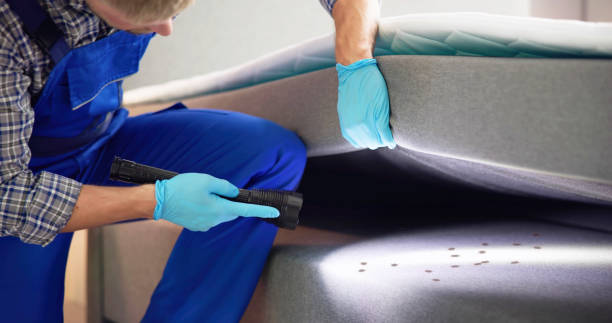 Best Wasp Removal Services  in Abingdon, IL