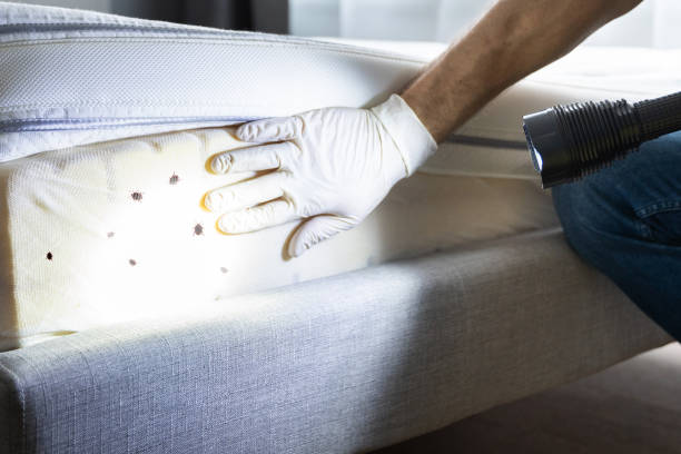 Best Wildlife Control Services  in Abingdon, IL